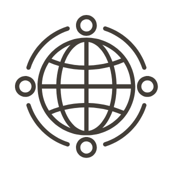 Globe icon
